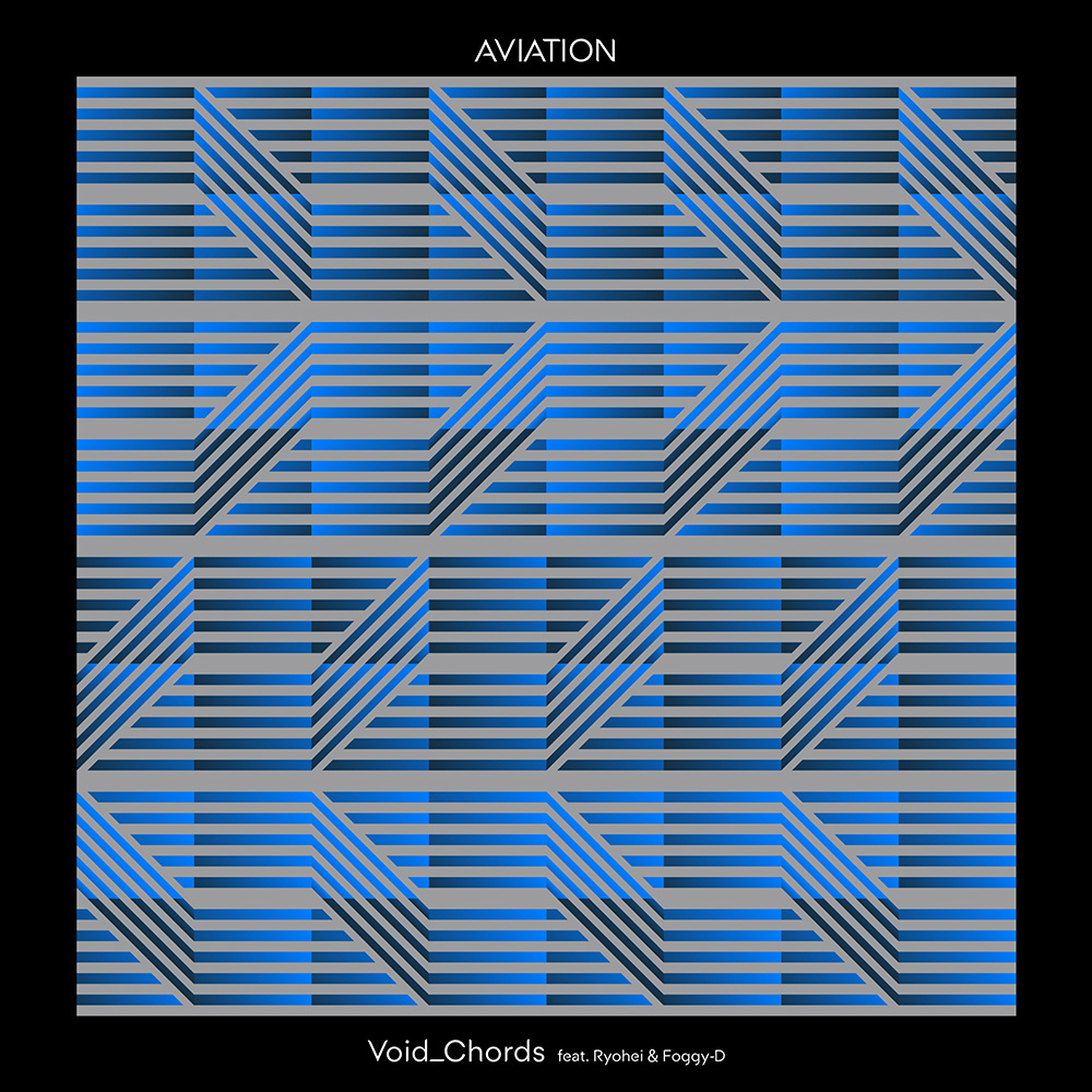 AVIATION (SARE Electro House Remix)